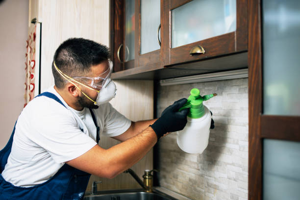 Best Pest Prevention Services  in Violet, LA