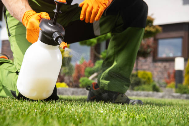 Best Pest Removal Services  in Violet, LA
