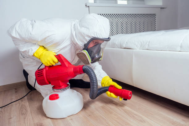 Best Residential Pest Control  in Violet, LA