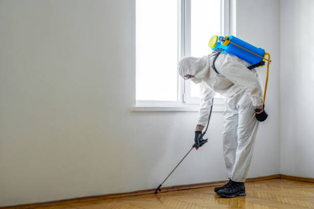 Best Best Pest Control Companies  in Violet, LA