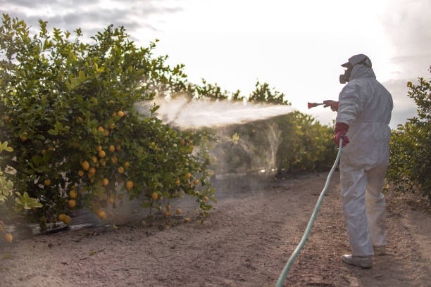 Violet, LA Pest Control Company