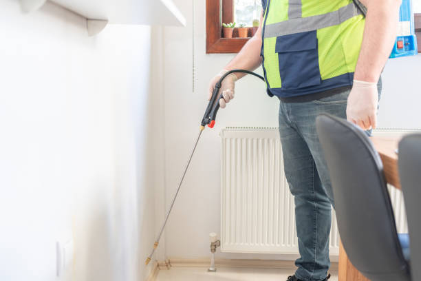 Best Termite Control Services  in Violet, LA