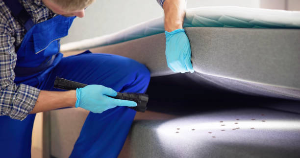 Best Commercial Pest Control Services  in Violet, LA