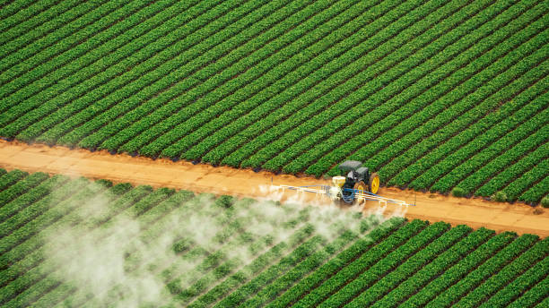 Best Pest Control for Businesses  in Violet, LA