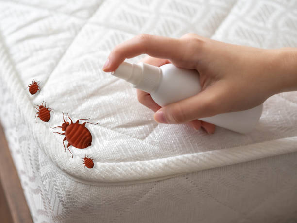 Best Pest Prevention Services  in Violet, LA